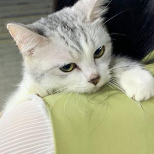 老熟妇露黑蝴蝶x8
